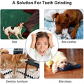 Glanvera Chew & Clean Ball — The Nontoxic Treat Feeder That Fights Plaque