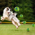 Glanvera Glow Giggle Ball — The Interactive Dog Toy That Plays Back