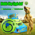 Glanvera Glow Giggle Ball — The Interactive Dog Toy That Plays Back