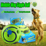Glanvera Glow Giggle Ball — The Interactive Dog Toy That Plays Back