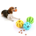 Glanvera Chew & Clean Ball — The Nontoxic Treat Feeder That Fights Plaque