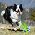 Glanvera Glow Giggle Ball — The Interactive Dog Toy That Plays Back