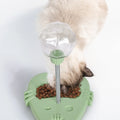 Glanvera Wobble Puzzle Feeder — The Cat Toy That Thinks For Itself